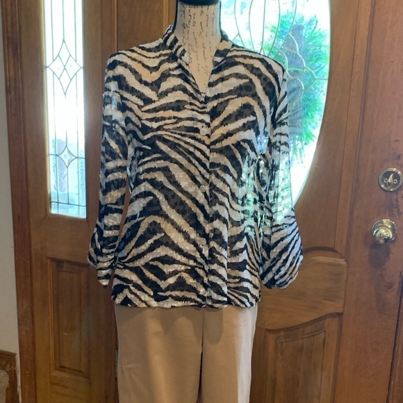 Ruby Rd. Sheer top size 8 EUC - Picture 1 of 4